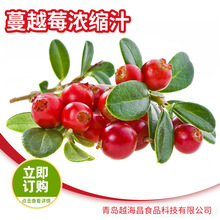 ��Խݮ��s��֭��¶��s֭��� ��Խݮԭ�{ԭ����ե���u�S��