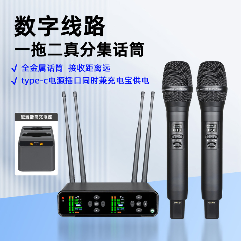 Cross-Border Professional Wireless Microphone True Diversity One-To-Two Handheld Rechargeable Microphone for Singing Stage Performance Karaoke
