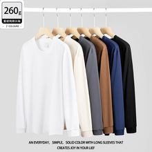 260g�＾�½����ἃ���ذ��A�I�L��t����Ů��ɴ������t������