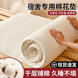 Xinjiang Cotton Mattress Dormitory Student Single Bunk Bed 90X190 Mattress Mattress Rental Special Bedroom Cushion