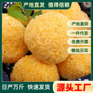 ֱ�����ﾫ�xɢ�b����y��500g�S�����ľ��Ŵ��ѩ����؛