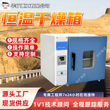 101-3AB汽车大灯烤箱 恒温干燥箱 数字温控 实验室工业用电热设备