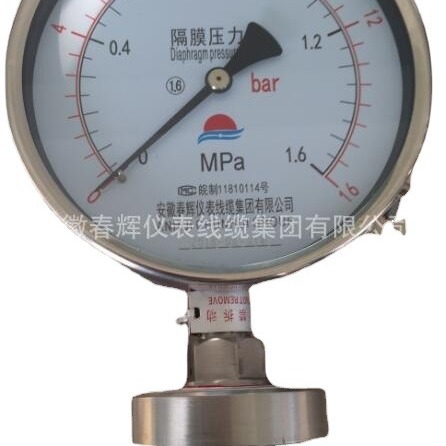供应YTP-100ML隔膜压力表法兰膜片压力表