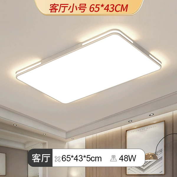 [Regular Style] 65*43cm Rectangle-48W-Leap Style