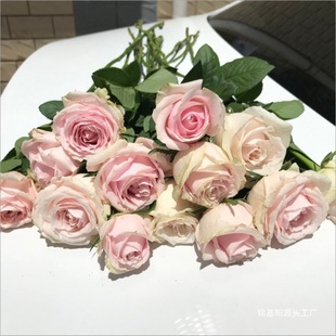 ���ذ��]ֱ�lֱ���r��õ�����տ�������ˮ�ٺ��滨������r�Y�л�