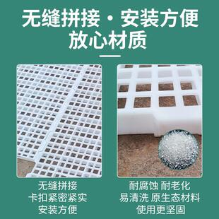 �Ӻ��u���Z©�Bֳ�����u���u�������u�\©�S��S�W©ʺ�_�|�B