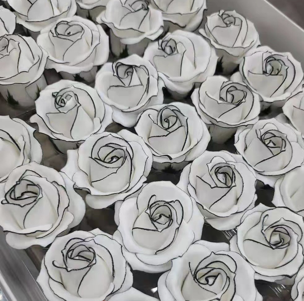 123D26352C8DD903B213A67CD2EF6B