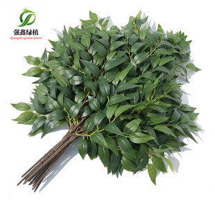 Simulation banyan branches plastic green leaf dead tree decoration project big tree banyan leaf elm leaf leaf flower leaf over glue green leaf
