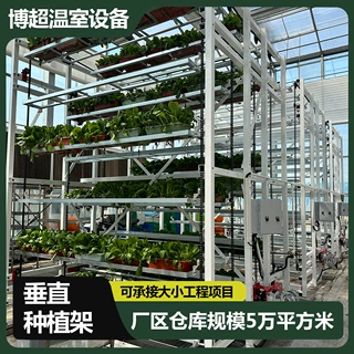 博超温室垂直种植架立体多层花卉养殖工程设备育苗盆栽立体种支架