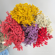ˮ���ݸɻ��滨��������������DIY����������c�Ҿ��b���Ļ���