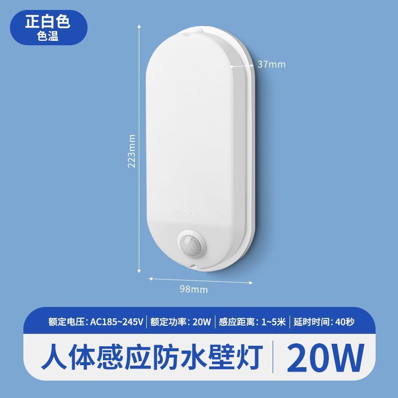 Infrared human body model [recommended for home decoration - no wall wear]