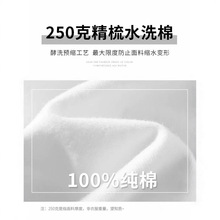 ���޷��It��Ů���¿�300g�ذ��½��޺񌍌���ȫ�ް�ɫpolo������