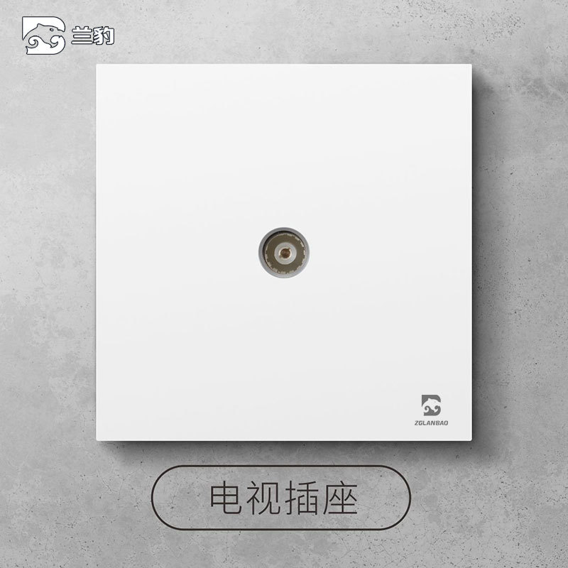 TV socket (closed-circuit TV socket)