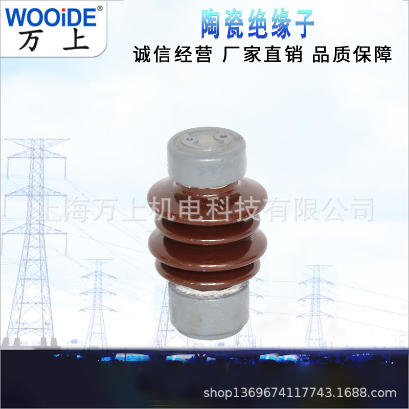 户内外陶瓷瓷瓶绝缘子ZSW-10KV/4 ZSW-20/6.电力高压电线支撑瓷