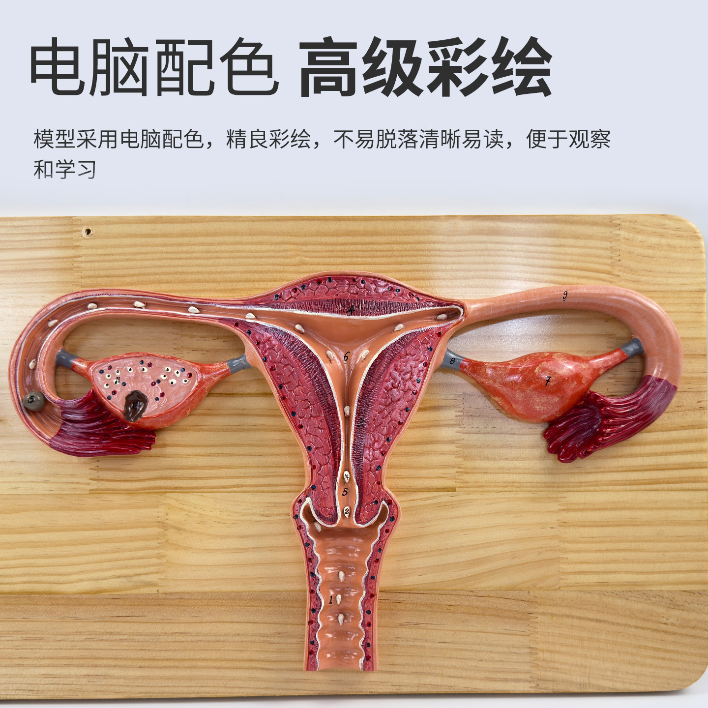 ҽ�������ܾ����̷Ŵ����ģ���ӹ��ѳ��ܾ�����ֳ�Ƽ���չʾģ��