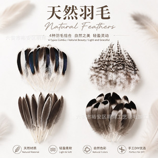 �羳���u��ȻɫҰ��ë��ë�Ʒ�����ë�^��ػ�ñ�ӹ�ˇƷ�b�