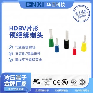Cnxi Huaxi Technology Sheet Insulated Terminal Dbv Insert Type Cold-Pressed Terminal Block Copper Wire Nose Wire Lug