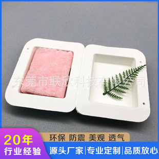 Customized Gift Paper Pulp Box, Thickeneded, Shock-Proof Sugar Cane Pulp, Environmentally Friendly, Recyclable, Dry Pressing Process, Factory Direct Sales