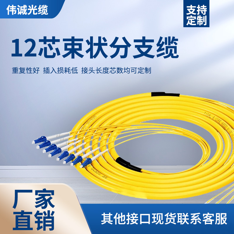 12芯束状分支缆SC,LC,FC,ST头单模光纤跳线电信级跳线光纤尾纤