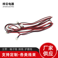 宁波工厂生产加工电子线 双排并线 排线材 汽车红黑线束 尺寸定制