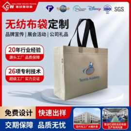 定制无纺布袋鞋服商超环保购物袋热压立体手提袋厂家批发