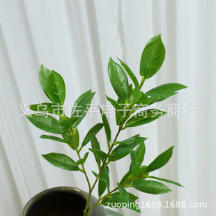 3�晎���~�lؔ����ؔ�~�����֦�Gɫ�~�ӼҾӿ͏d�廨�b[��