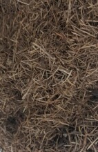 ����ᘟo������l���m�������m���N�{ݮ�軨���ԠI�B��