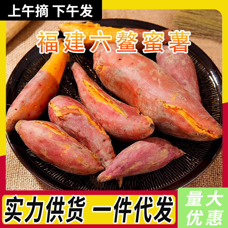 福建六鳌蜜薯3/5/9斤新鲜现挖香甜糯沙地红番薯红苕地瓜一件代发