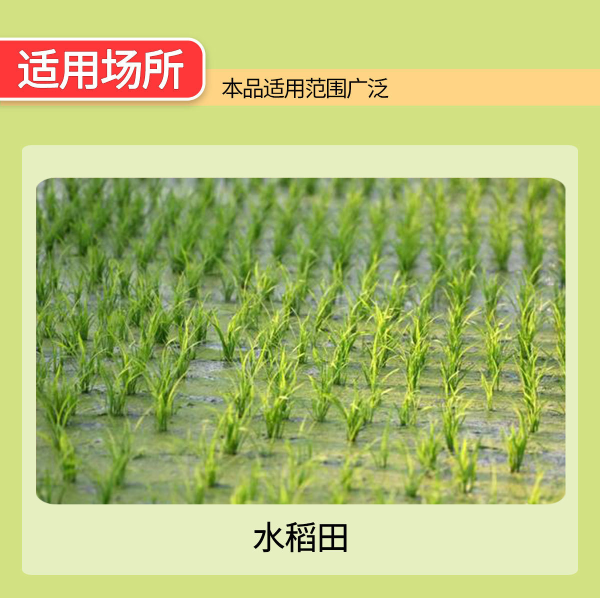 615ccf85-949d-42dc-9ea1-52c1b1