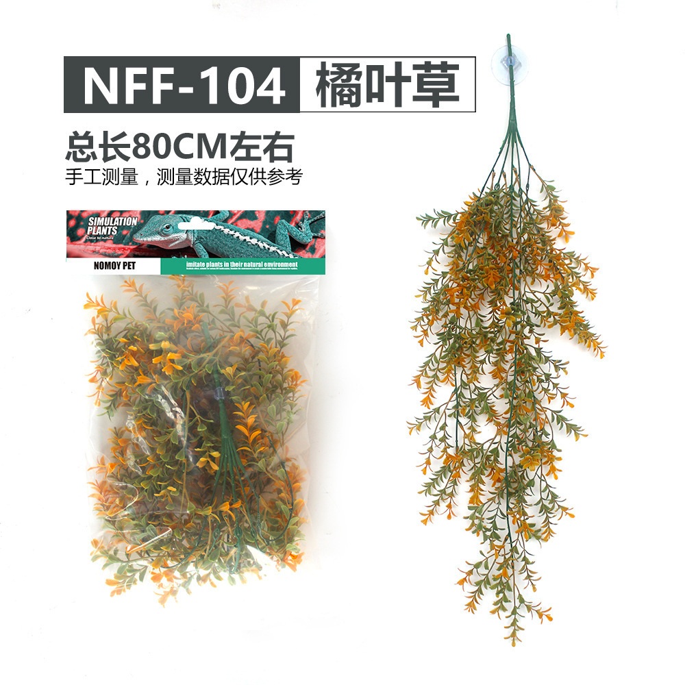 NFF-104 오렌지 클로버