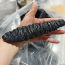 3-10ͷ���Ʋ����Ʋ���˿�η��������θɻ�Ұ���Ǽ�ʳ��������