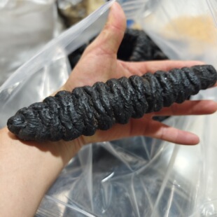 3-10�^�ݼy�����y���ݽz��������������؛Ұ���Ǽ�ʳ��l����