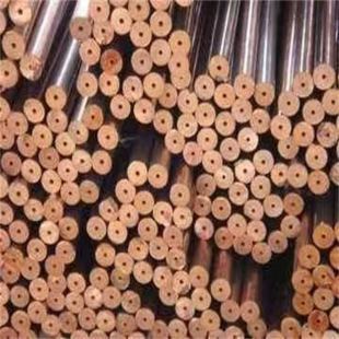 TP2���~�� ɢ���������� ���ݼy�~�� ��Ƭ�~�� Ó��Ó֬�~�ܼӹ�