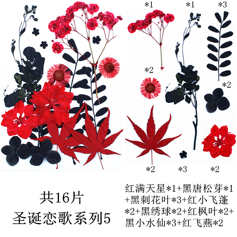 크리스마스 사랑 노래 시리즈 5