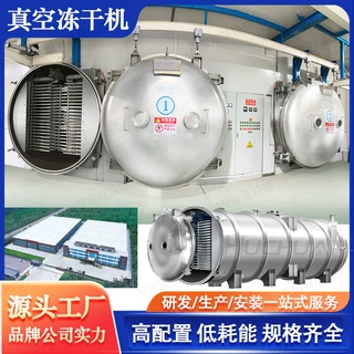 铁皮石斛低温真空冻干机 中药液脱水冻干粉 熊胆粉真空冷冻干燥机