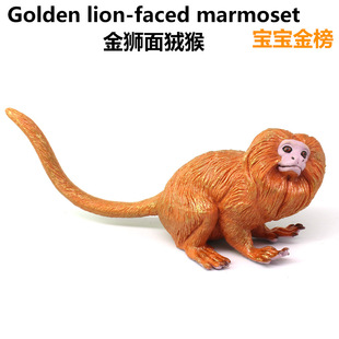 �羳������ӄ���ģ�ͽ�z�����ģ�̓�ͯ���ɽ̾߼Ҿ��b[��