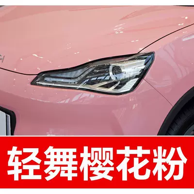 33. Nezha Car Touch-Up Paint: Avtomobil boya qələmləri - buy-one-get-two-1-coat-of-color-paint-1-coat-of-brightening-polish-plus-a-free-tool-kit-cleaning-cotton-and-brush-tips-lightly-dancing-cherry-blossom-pink