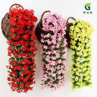 ���l���滨�ٻ����_�m�ҾӒ젝�b�c�������ϵ��@�ٗl����ֲ��