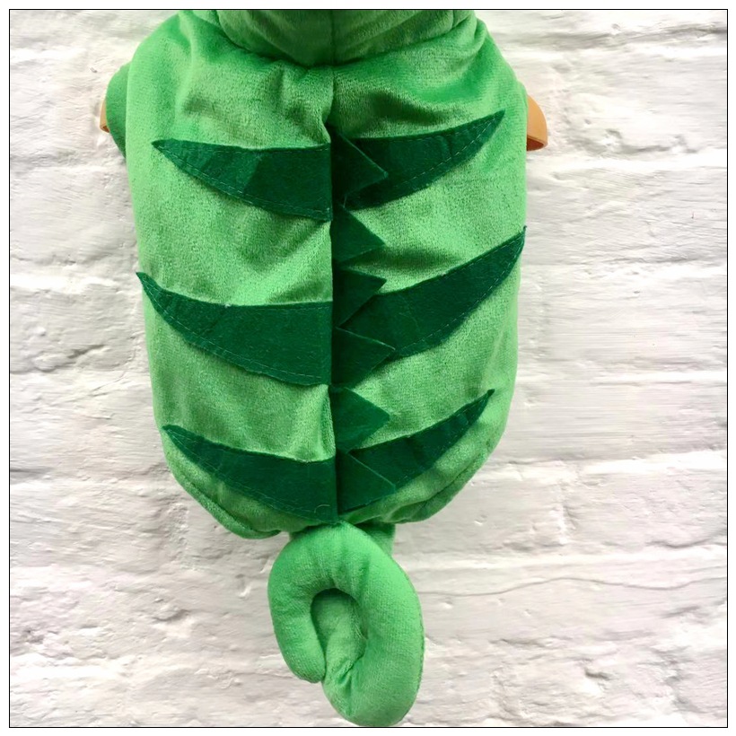 变色龙-0 (14).jpg