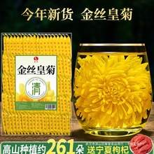 菊花茶金丝皇菊大黄菊非去火清热降火贡菊胎菊枸杞官方正品非特级