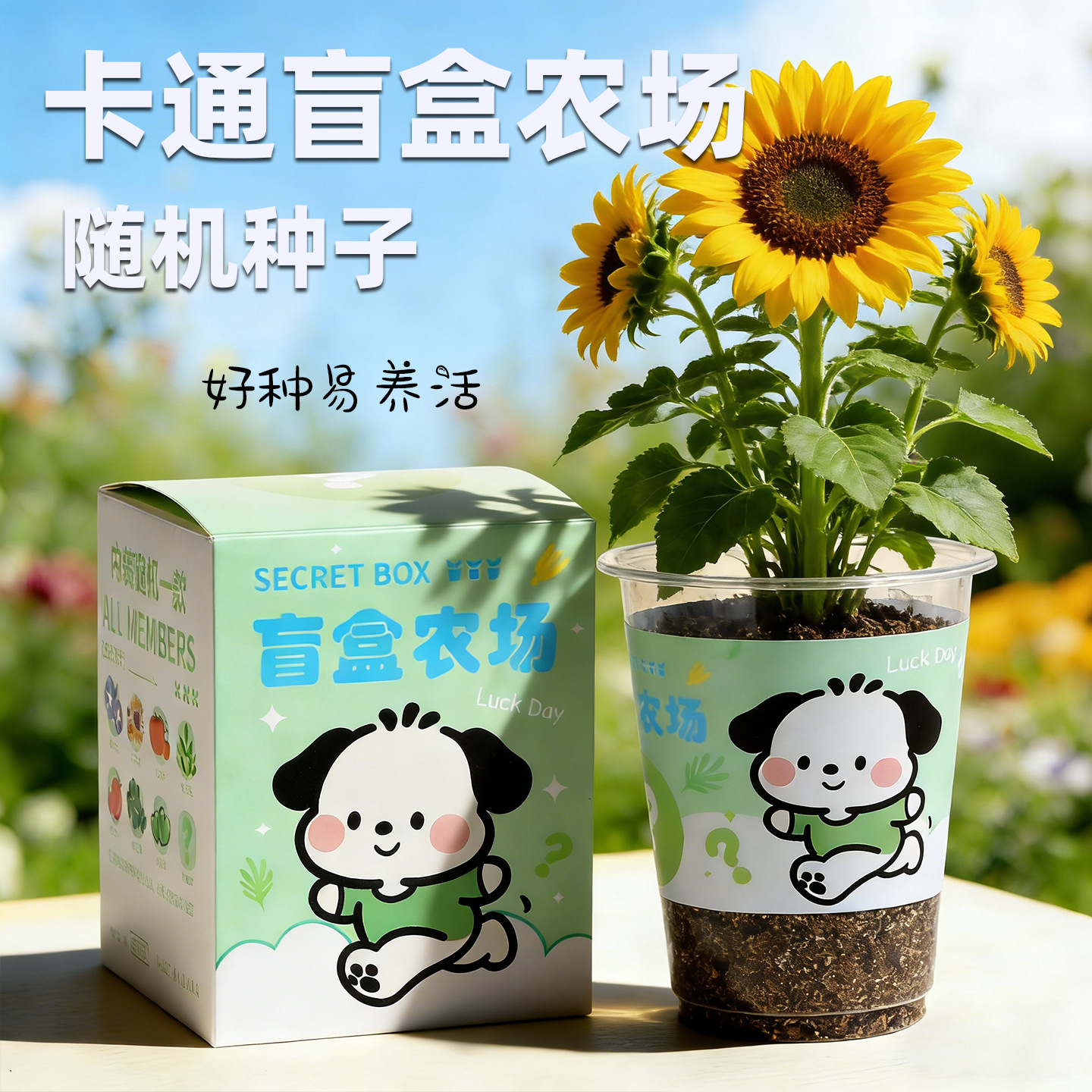 Nuevas plantas ciegas cajas de niños pequeños macetas decoración de escritorio mini maceta verde 1 de junio regalo del día de los niños image 10