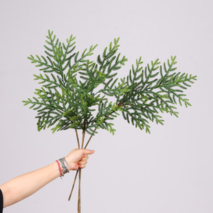 ����Gֲ�ɰ�֦ ��֦�̰��҃ȿ͏d�b[��/���Gֲ����ɼ�������