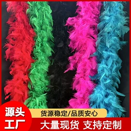 动物毛鬃;羽毛、羽绒;扇子