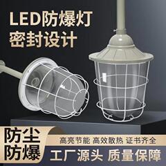 Led防爆灯工事現場照明灯三防灯カバー倉庫灯防爆型灯専用給油ステーション灯