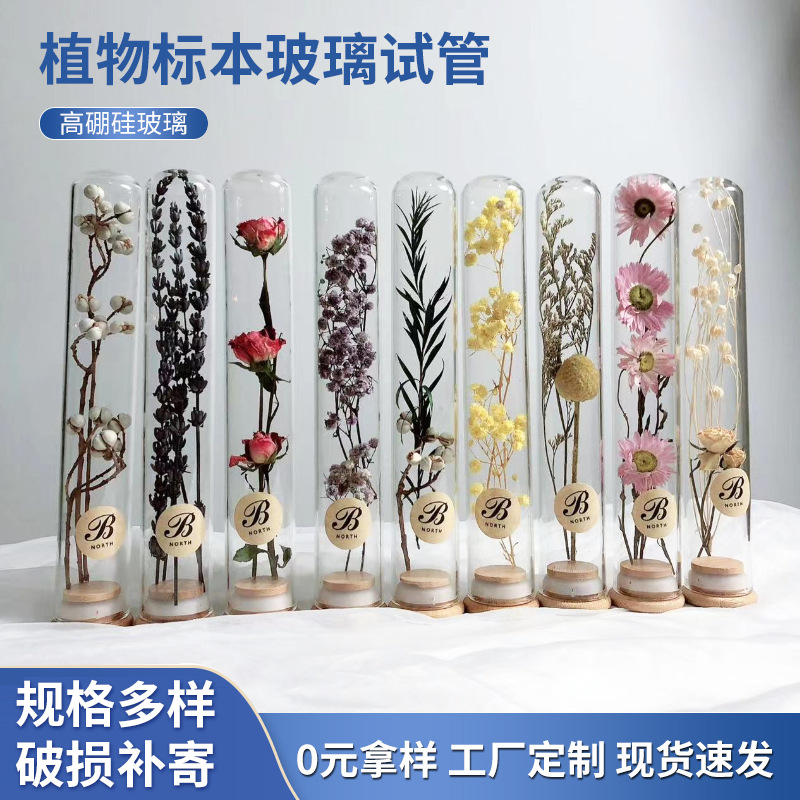 Cubierta de bambú sellada tubo de ensayo de vidrio de borosilicato planta espécimen flor seca ramo de almacenamiento cubierta de vidrio decoración decorativa tubo de ensayo