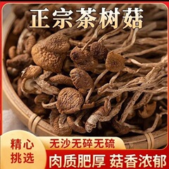 茶樹茸卸売 雲南乾物 原産地直送 大量供給 無硫黄乾燥きのこ