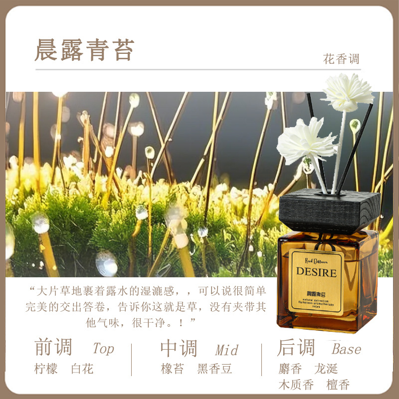 아침 이슬 이끼 [비 온 뒤의 아침]