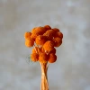 Orange (20 pieces in a bunch)