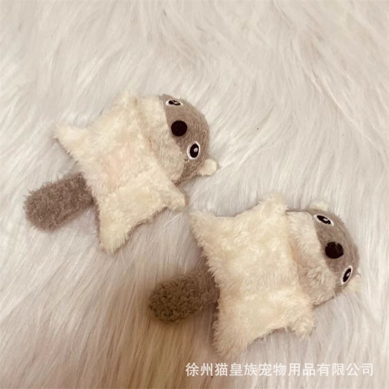 Two gray flying squirrels