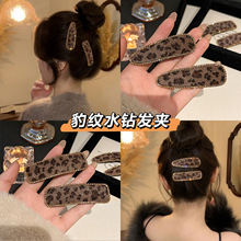 �n���p���ﶬ���y�l�AŮ�߶˚��|�����o��bb�A2025�¿���l�A�^�